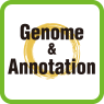 Genome & Annotation